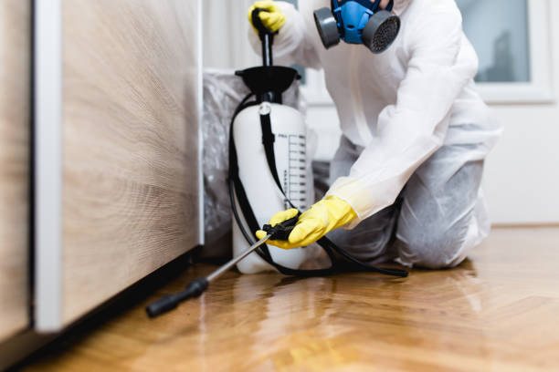 Pest Control Cost in Wake Village, TX