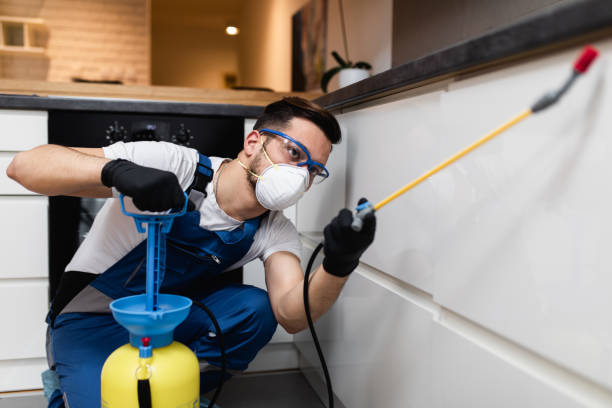Best Affordable Pest Control Services  in Wake Village, TX