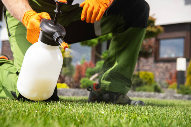 Best Emergency Pest Control  in Wake Village, TX