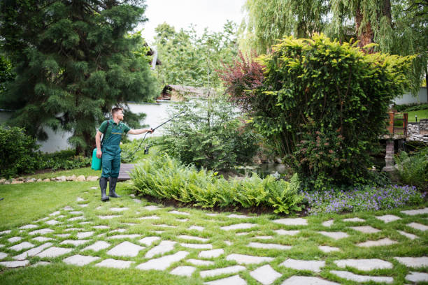 Best Commercial Pest Control Services  in Wake Village, TX