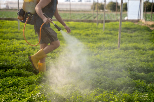Best Pest Control for Restaurants  in Wake Village, TX