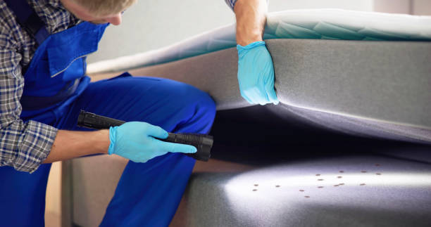 Best Pest Control Near Me  in Wake Village, TX