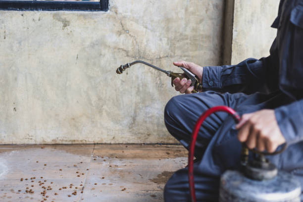 Best Pest Inspection Near Me  in Wake Village, TX