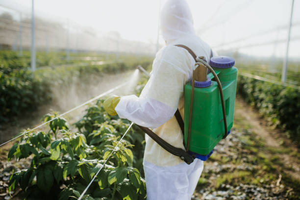 Pest Control for Restaurants in Wake Village, TX